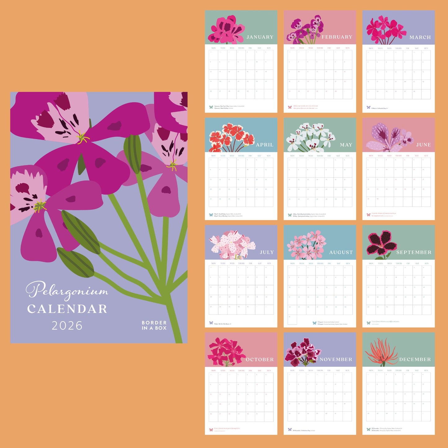 2026 Wall Calendar, A4, Pelargonium Flower Illustrations