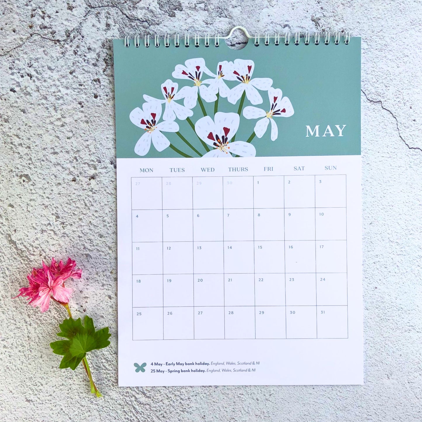 2026 Wall Calendar, A4, Pelargonium Flower Illustrations