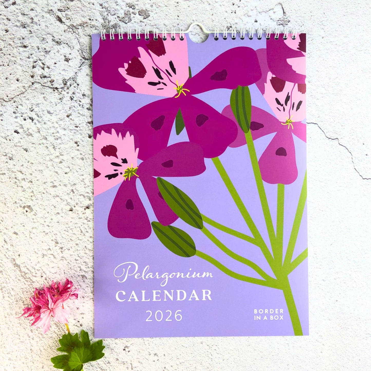 2026 Wall Calendar, A4, Pelargonium Flower Illustrations
