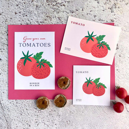 Grow Your Own Tomatoes Seed Kit