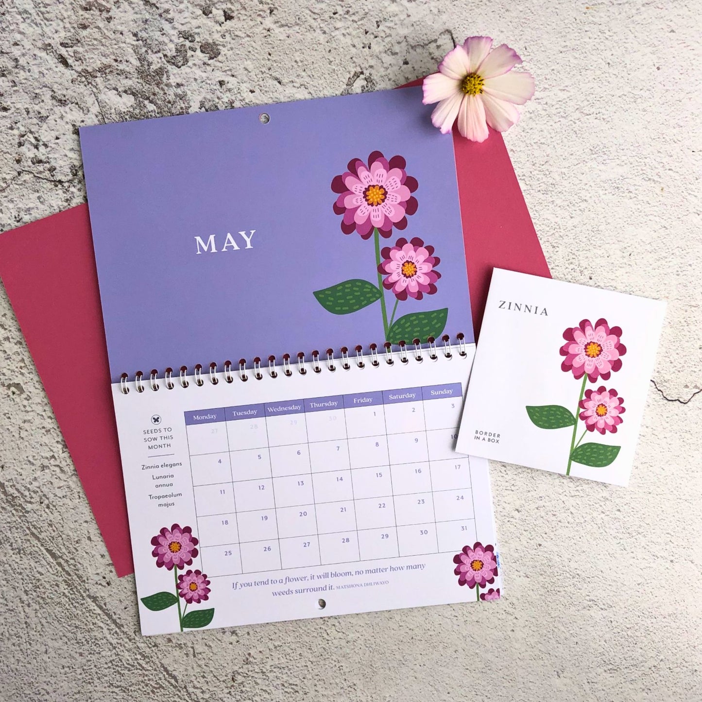 2026 Calendar, Flower illustrations, 12 Packets of Seeds (one to sow each month), A5 opens to A4, Gift boxed