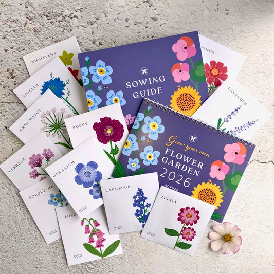 2026 Calendar, Flower illustrations, 12 Packets of Seeds (one to sow each month), A5 opens to A4, Gift boxed