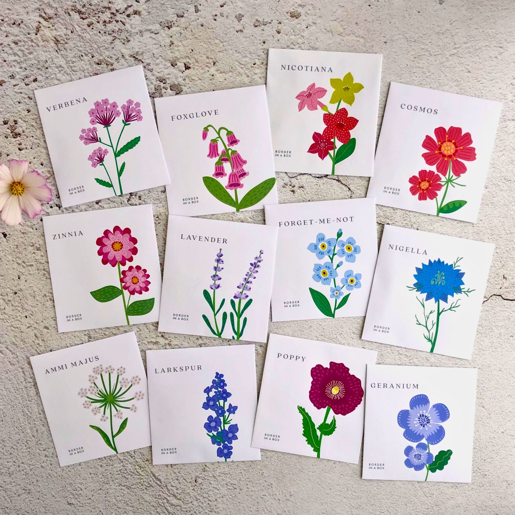 flower seed calendar 2026 Calendar, Flower illustrations, 12 Packets of Seeds (one to sow each month), A5 opens to A4, Gift boxed