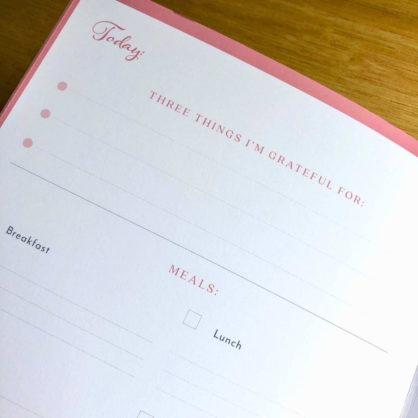 Gratitude and Wellness Journal