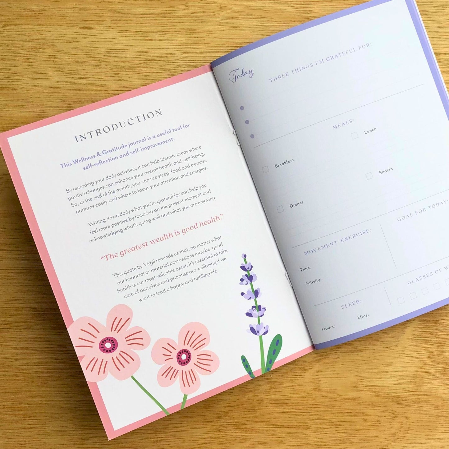 Gratitude and Wellness Journal